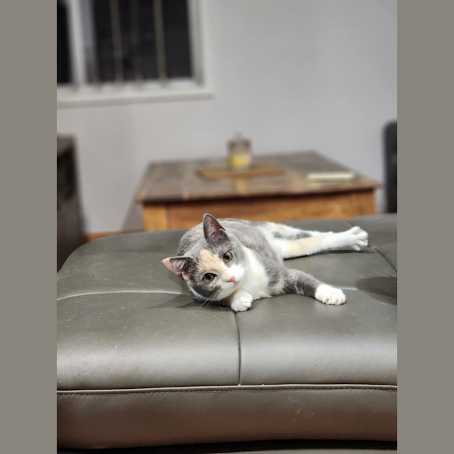 Photo of Lucinda