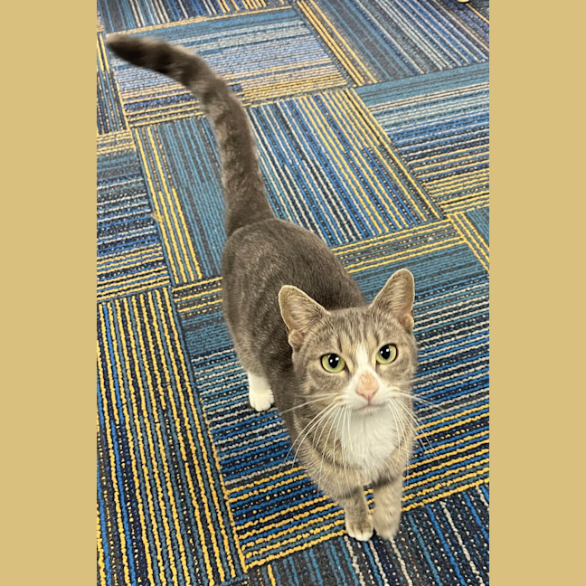 Photo of Bonnie