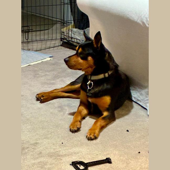 Photo of Ponzi