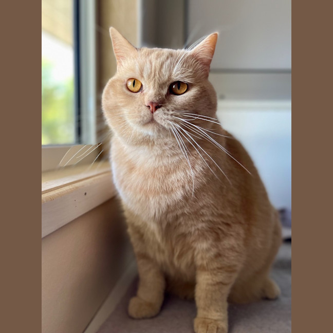 Photo of Garfield