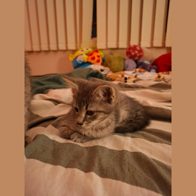 Photo of Princeton