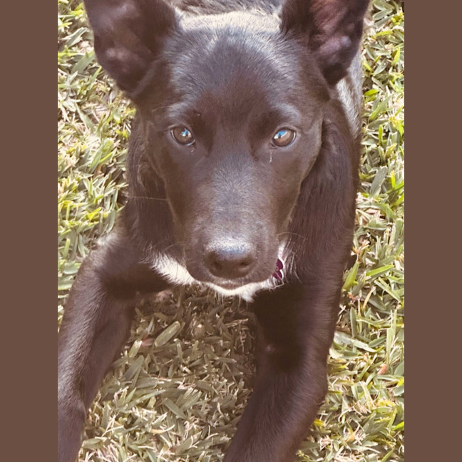 Photo of Molly