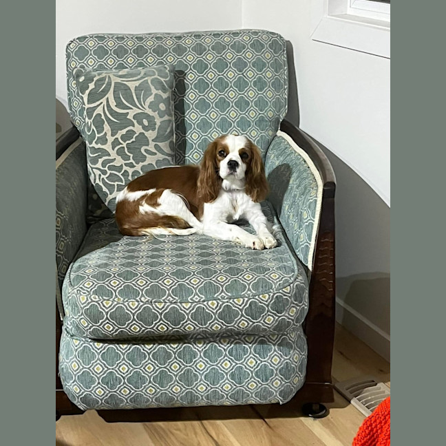 Photo of Toby And Cany Gurl 