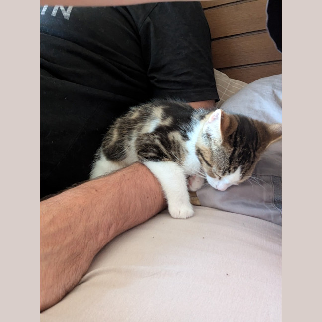 Photo of Ross Golden