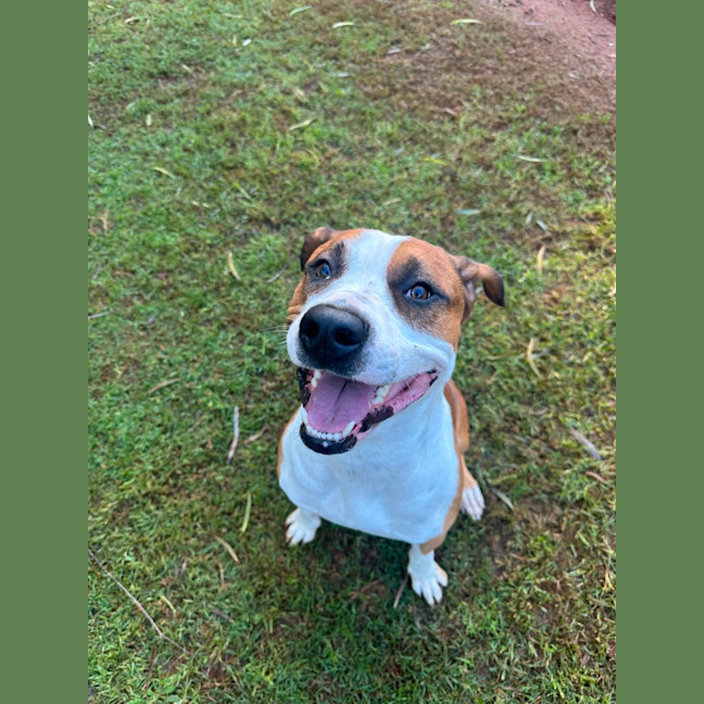 Photo of Charlie