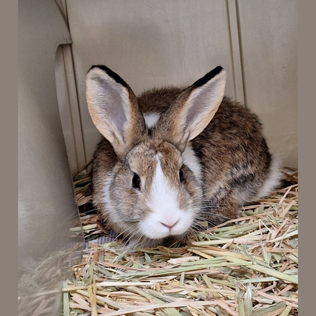 Photo of Catherine Willows