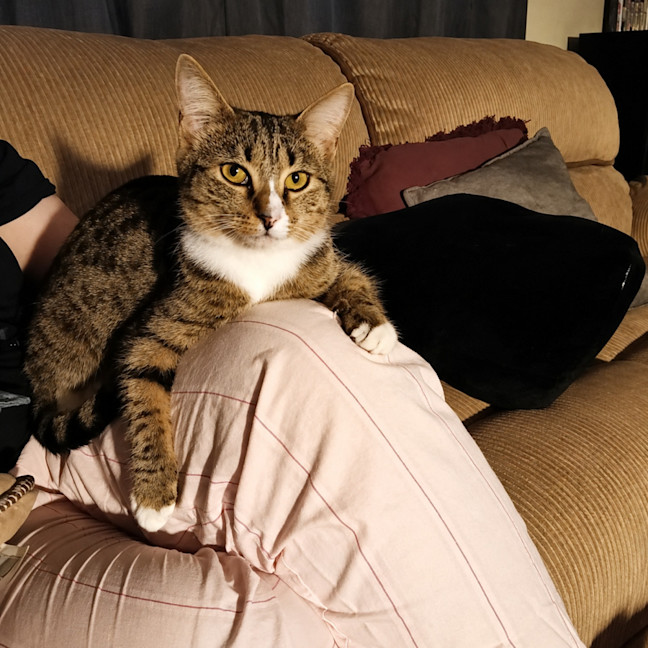 Photo of Quinn