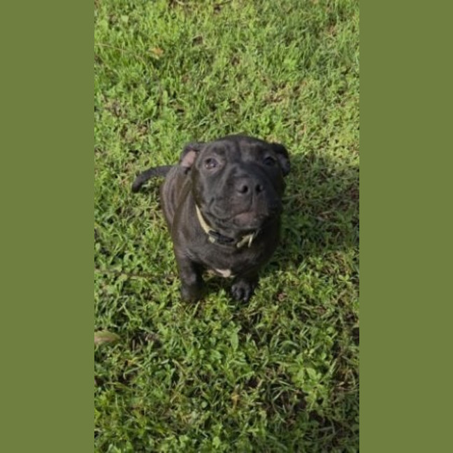 Photo of Coco