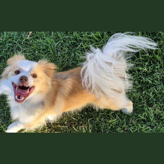 Photo of Oliver