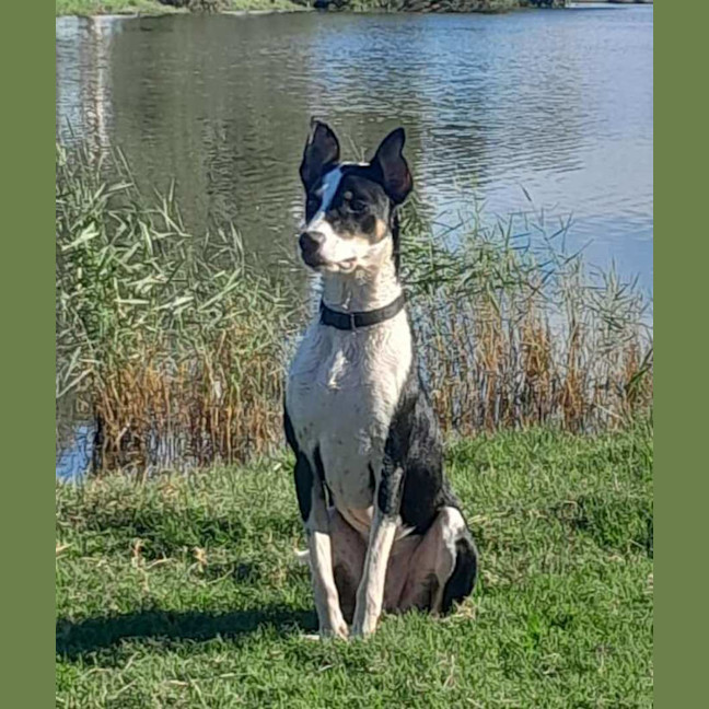Photo of Bugsy