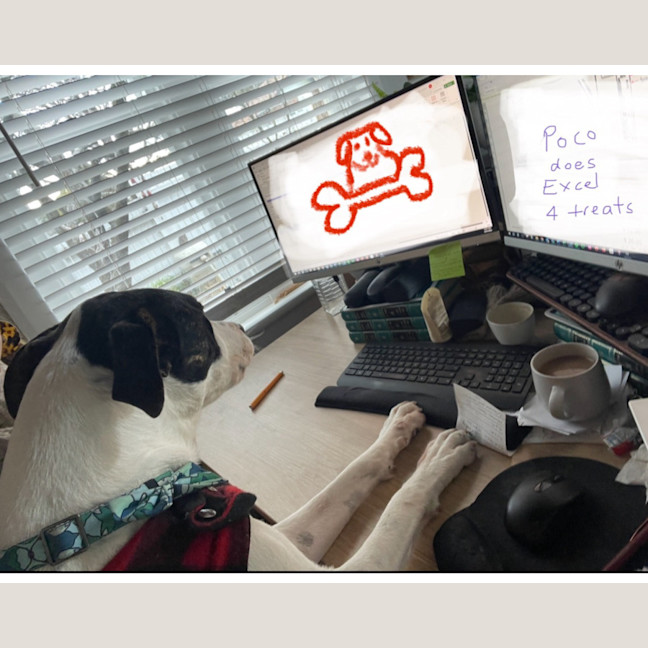 Photo of Poco 