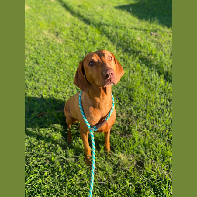 Photo of Maya
