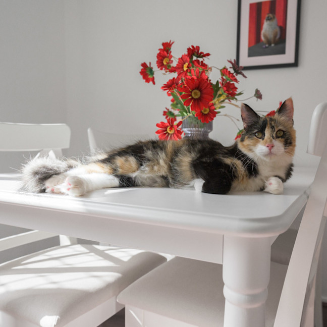 Photo of Jenny 