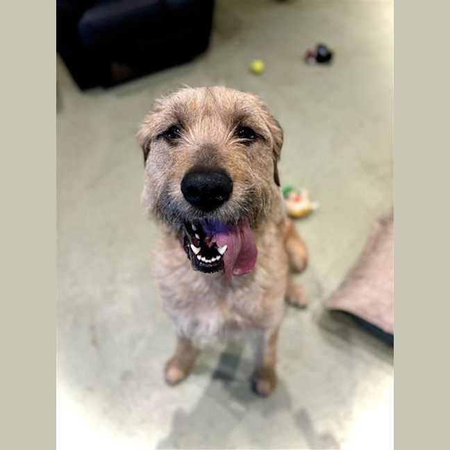 Photo of Penny