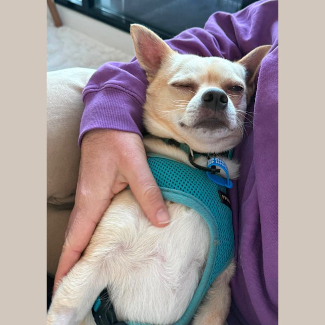 Photo of Gordon