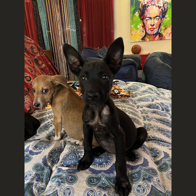 Photo of Skinny Marie (Evie)