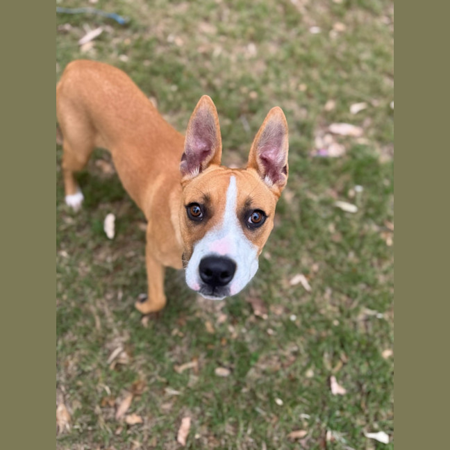 Photo of Salsa