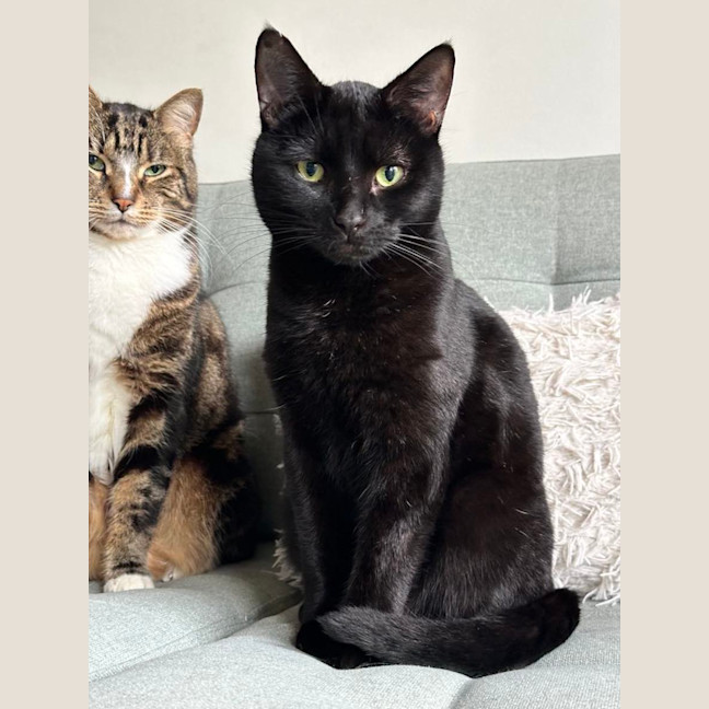 Photo of Milo   Malvern 