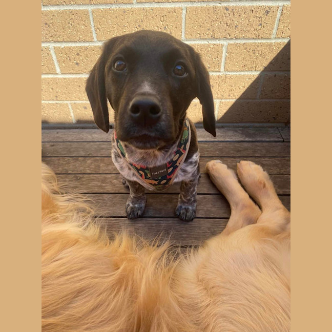 Photo of Echo