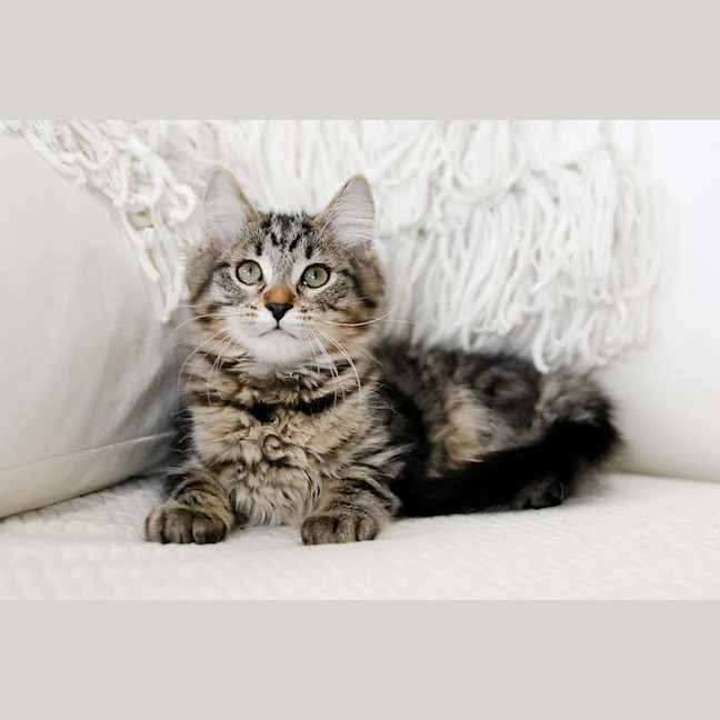 Photo of Ralph