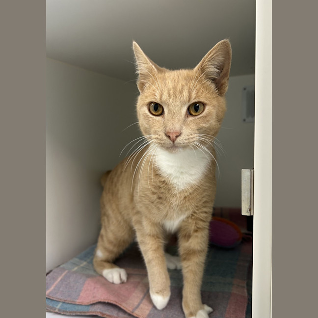 Photo of Fred