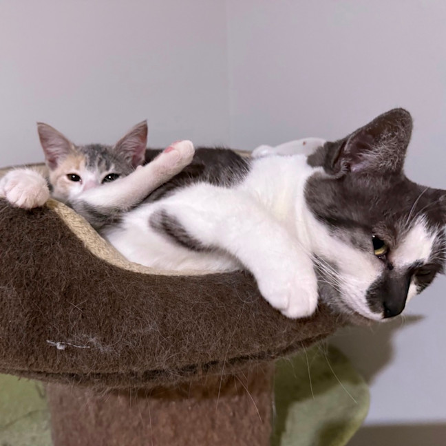 Photo of Georgia 🍒