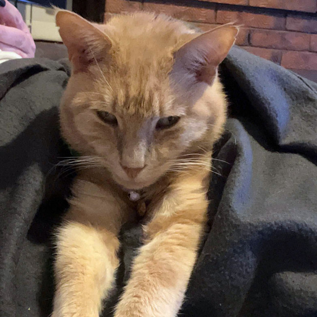Photo of Sam