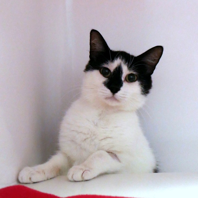 Photo of Ruby Sua015062