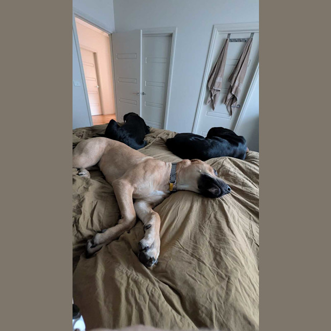 Photo of Honey