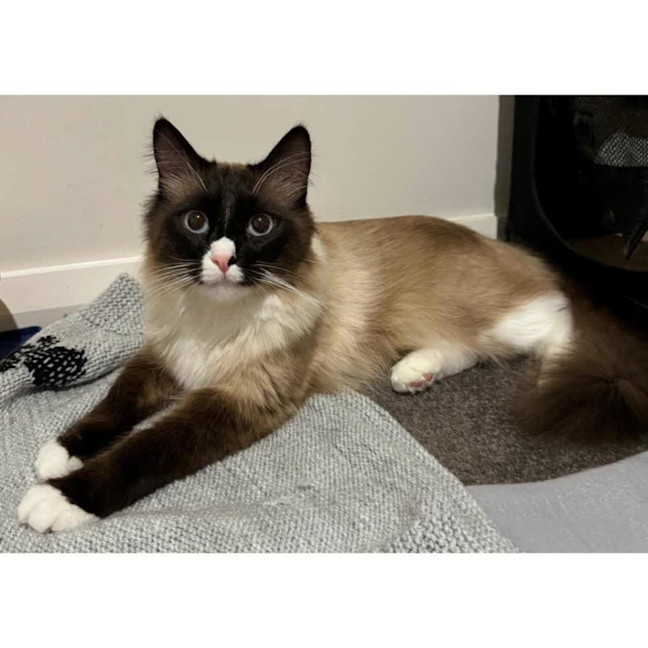 Photo of 11583   Haku