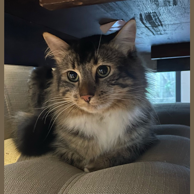 Photo of Percy