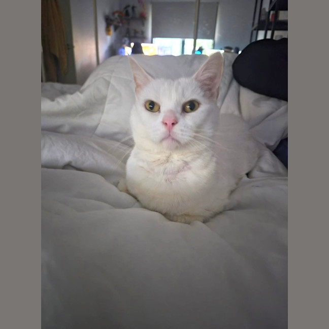 Photo of Chloe Belle 