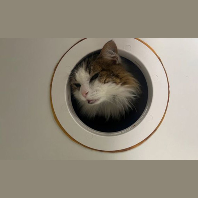 Photo of Uno
