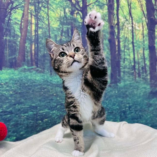 Photo of Taylor   Located In Preston