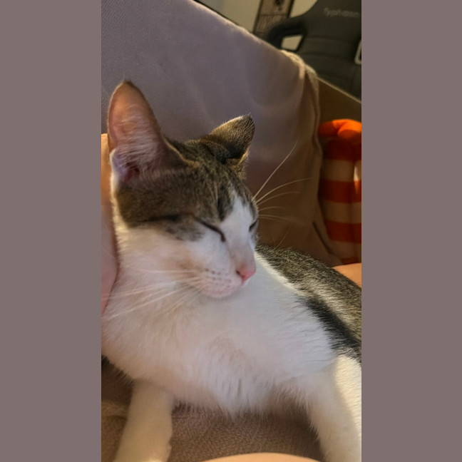 Photo of Millie