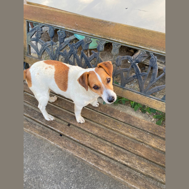 Photo of Turbo And Mazie