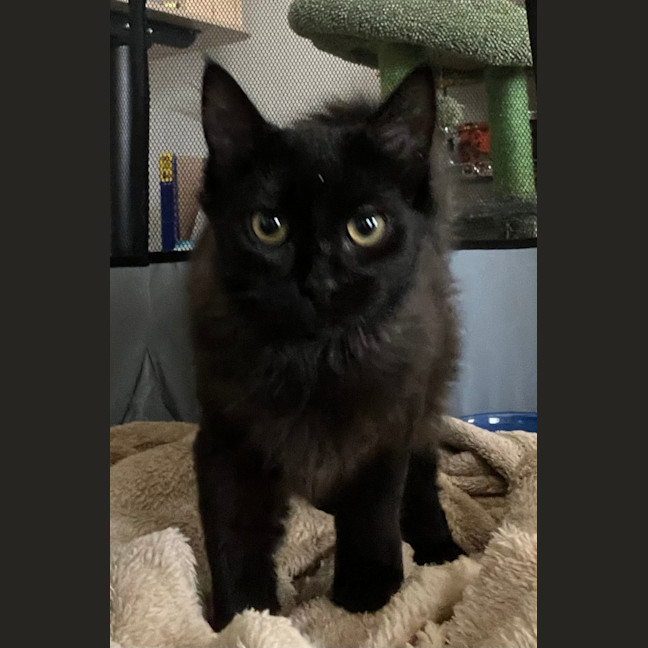 Photo of Coco