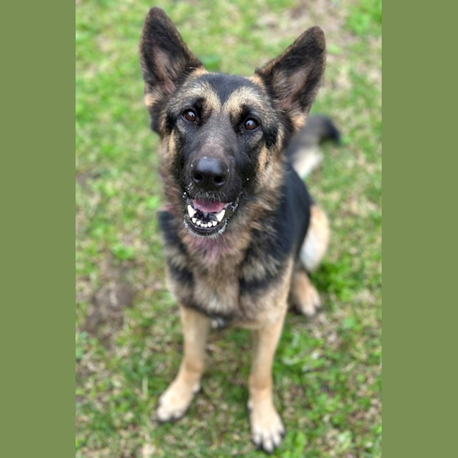 Photo of Maggie