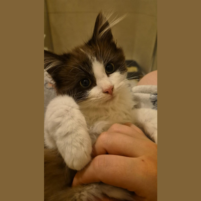 Photo of Luca