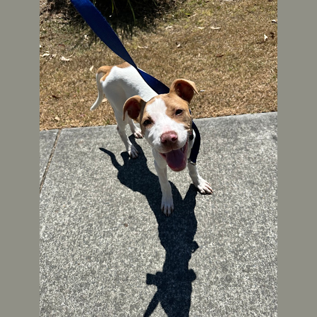 Photo of Bella