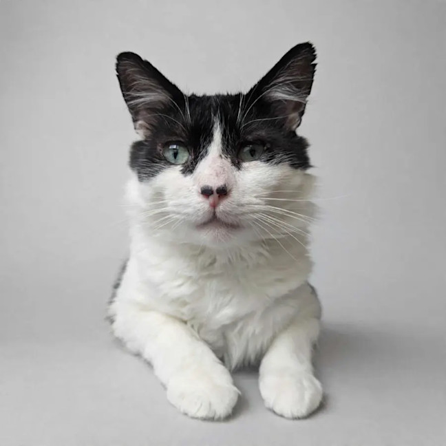 Photo of Charlie 