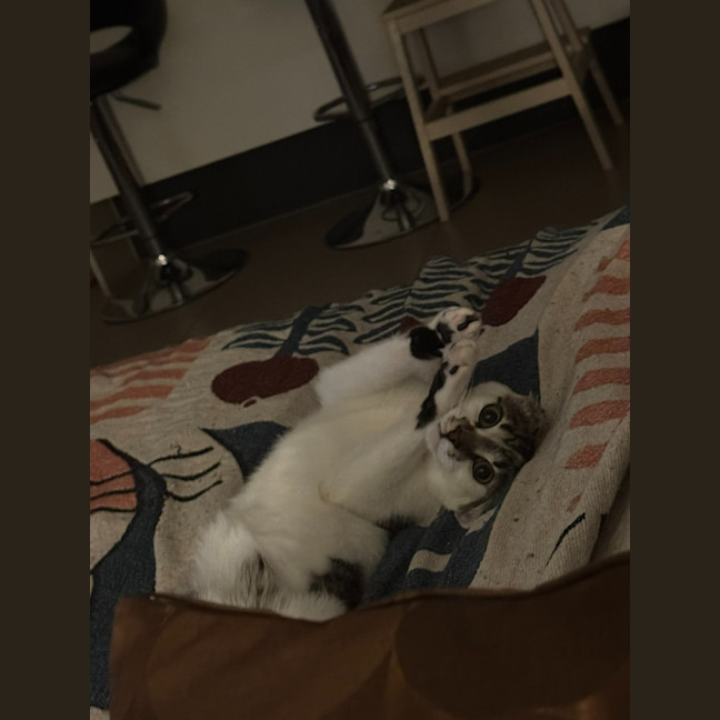 Photo of Nugget Scott