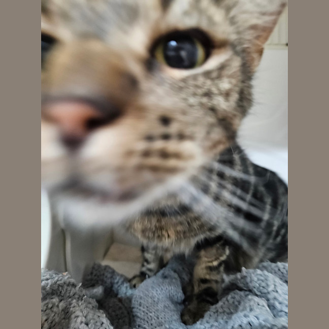 Photo of Squiggs