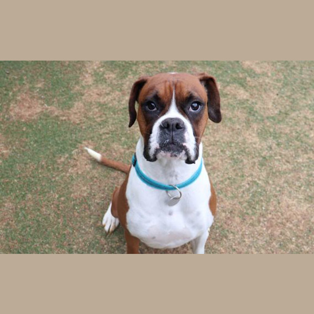 Photo of Ruby