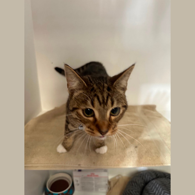 Photo of Vader & Weasley 