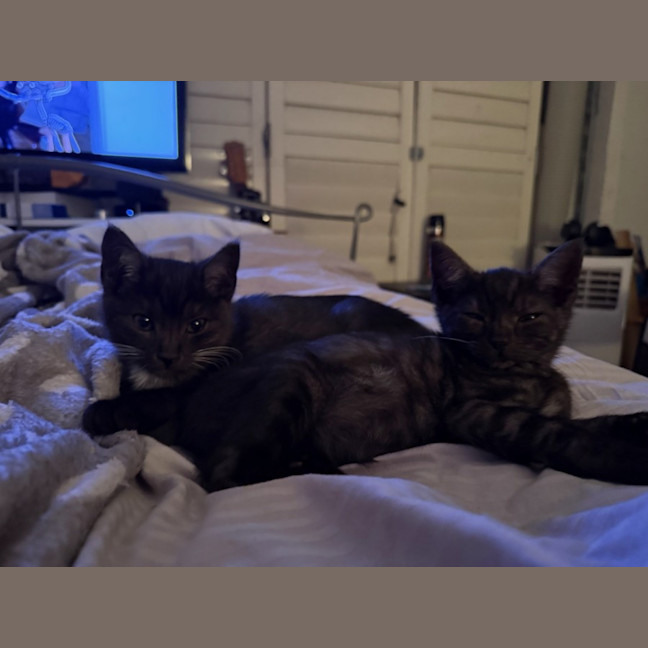 Photo of Danny (With Kenickie)