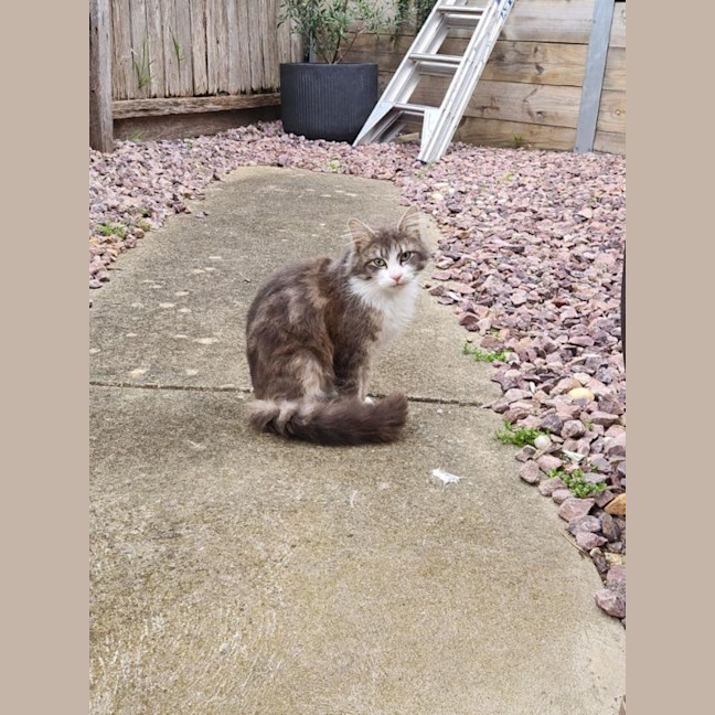 Photo of Jethro