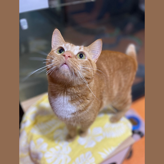 Photo of Butters