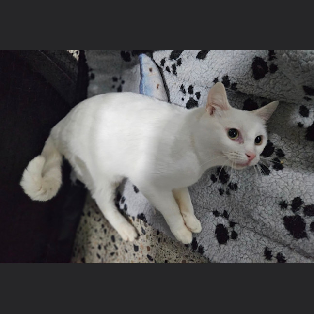 Photo of Rinnie