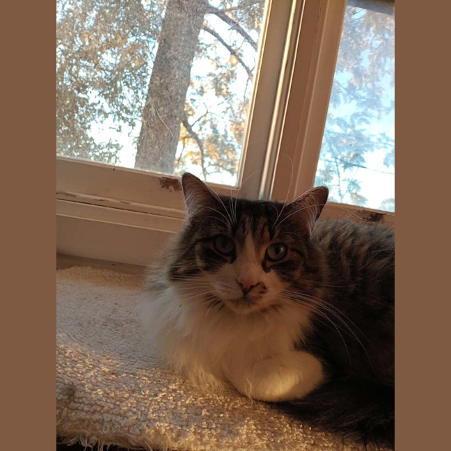 Photo of Ms. Ida Mae